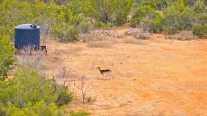 2100 Hurley Rd (46)