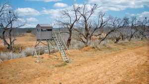 2100 Hurley Rd (47)