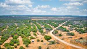 2100 Hurley Rd (53)