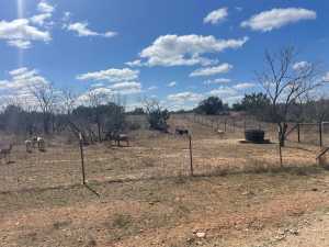 2100 Hurley Rd (59)