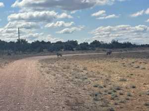 2100 Hurley Rd (61)