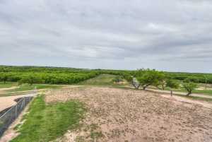 6290 Stokes Rd (61)