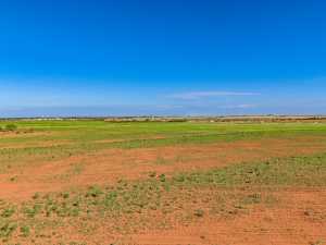TBD Hwy 208 (36)