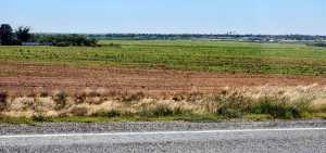 TBD Hwy 208 (6)