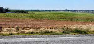 TBD Hwy 208 (7)