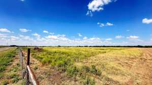 8424 W Grape Creek Rd (2)