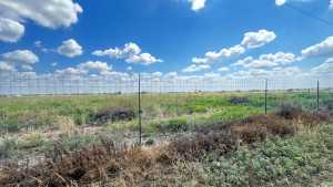 8424 W Grape Creek Rd (3)