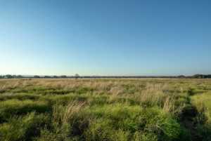 - County Rd 208 (10)