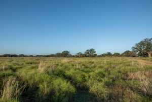 - County Rd 208 (11)