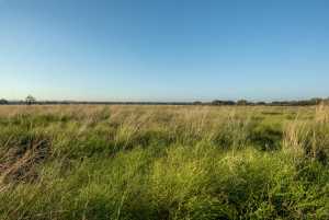 - County Rd 208 (12)
