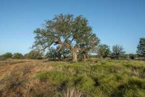 - County Rd 208 (14)