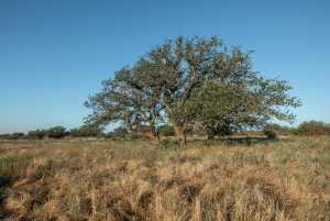 - County Rd 208 (15)