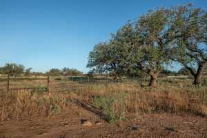 - County Rd 208 (16)
