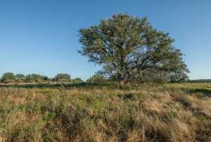 - County Rd 208 (17)