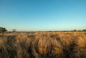- County Rd 208 (2)