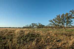- County Rd 208 (20)