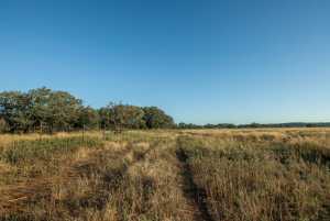 - County Rd 208 (21)