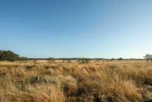 - County Rd 208 (23)