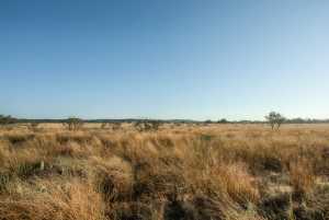 - County Rd 208 (24)