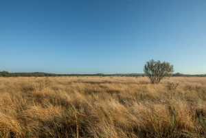 - County Rd 208 (26)