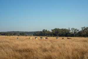 - County Rd 208 (27)