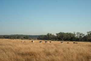 - County Rd 208 (28)