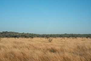 - County Rd 208 (29)