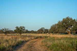 - County Rd 208 (3)