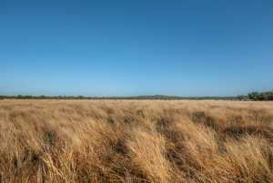 - County Rd 208 (30)