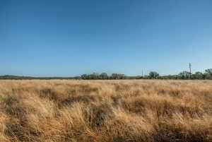 - County Rd 208 (31)