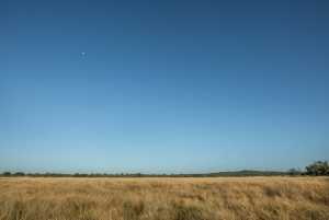 - County Rd 208 (33)