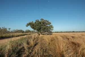 - County Rd 208 (34)