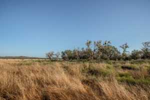 - County Rd 208 (35)