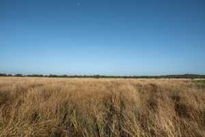- County Rd 208 (36)