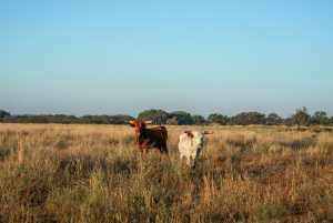 - County Rd 208 (37)