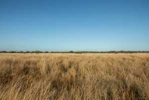 - County Rd 208 (38)