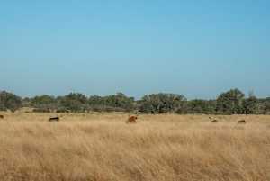 - County Rd 208 (39)