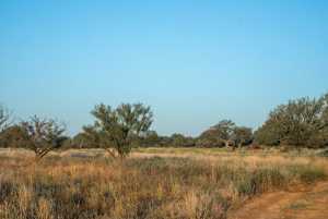 - County Rd 208 (4)