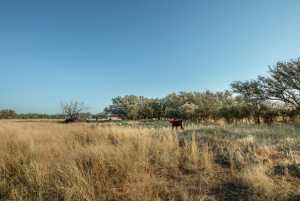 - County Rd 208 (40)