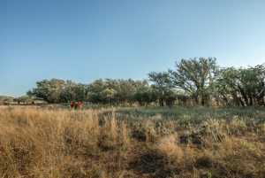 - County Rd 208 (41)