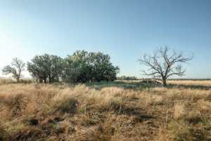 - County Rd 208 (42)