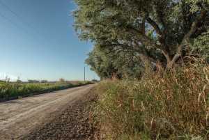 - County Rd 208 (46)