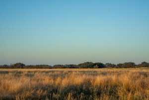 - County Rd 208 (5)