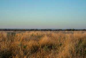- County Rd 208 (6)