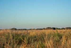 - County Rd 208 (8)