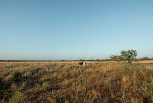 - County Rd 208 (9)
