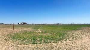 8385 W Grape Creek Rd (10)