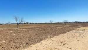 8385 W Grape Creek Rd (4)