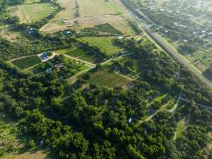 5000 Cralle Rd (50)