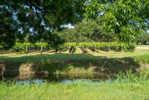 5000 Cralle Rd (11)